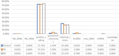 Comparative transcriptomic analyzes of human lung epithelial cells infected with wild-type SARS-CoV-2 and its variant with a 12-bp missing in the E gene